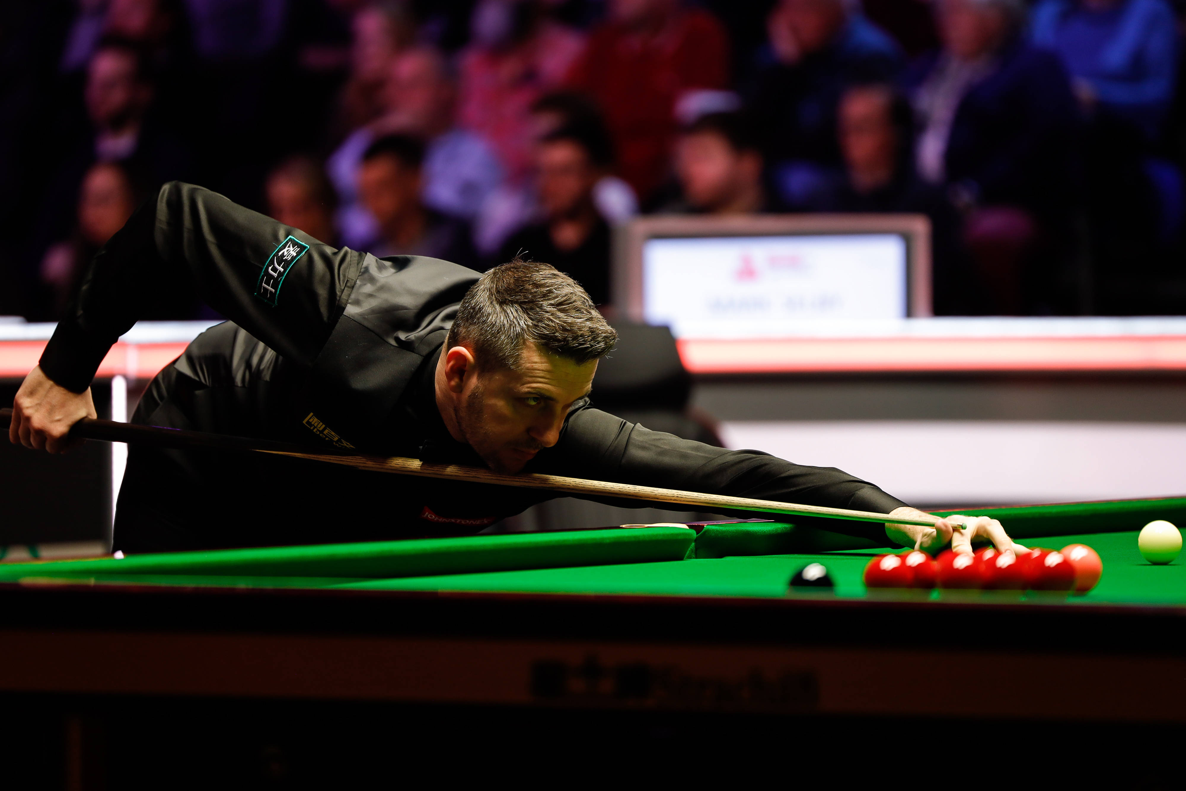 互动已不限 互动已不限