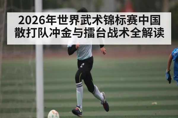2026年世界武术锦标赛中国散打队冲金与擂台战术全解读